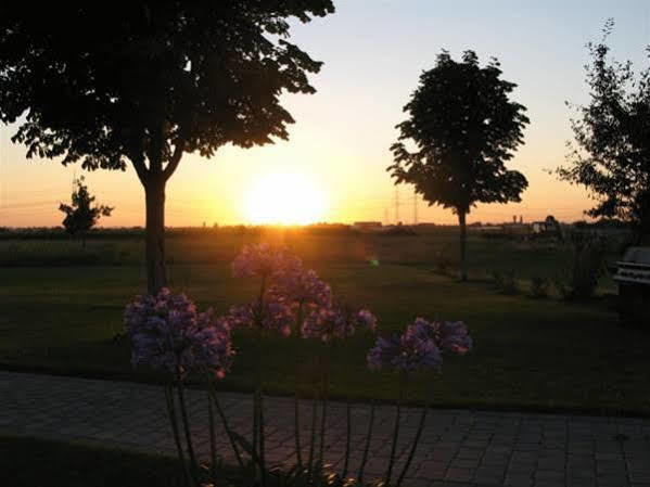 Serviced Apartments Kurpfalzhof Oftersheim Dış mekan fotoğraf