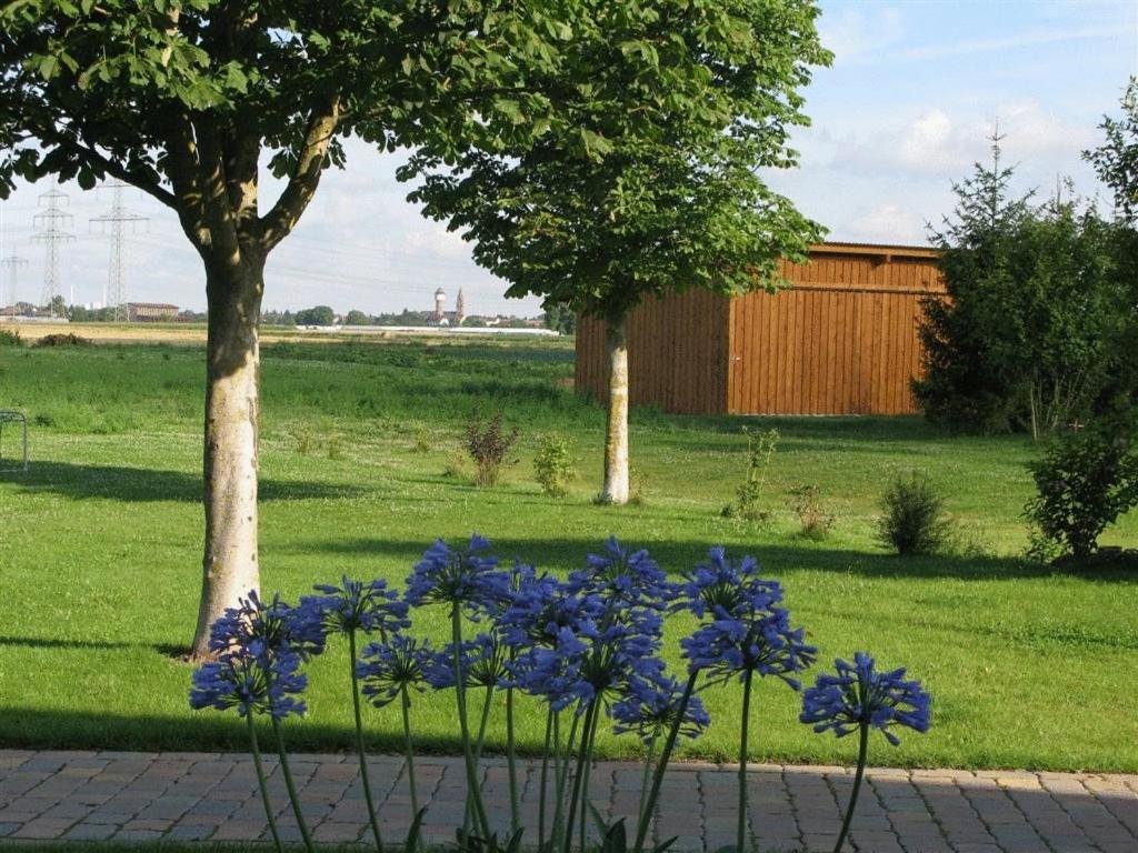 Serviced Apartments Kurpfalzhof Oftersheim Dış mekan fotoğraf