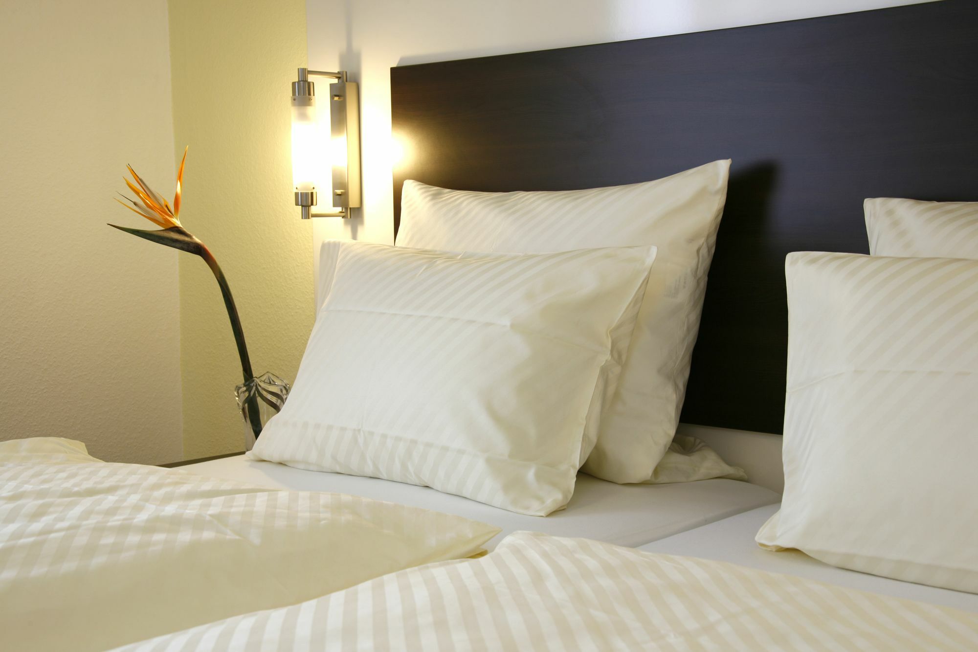 Serviced Apartments Kurpfalzhof Oftersheim Dış mekan fotoğraf